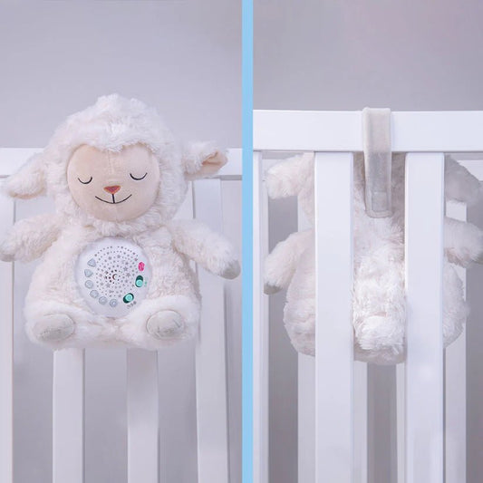Sheepy the Sleepytime Sheep - Adhkar